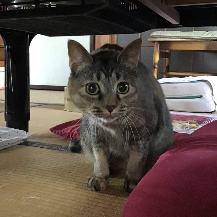 1fd81372 39f1 4a1c 8f6e d902ec1ed787 1658742364056