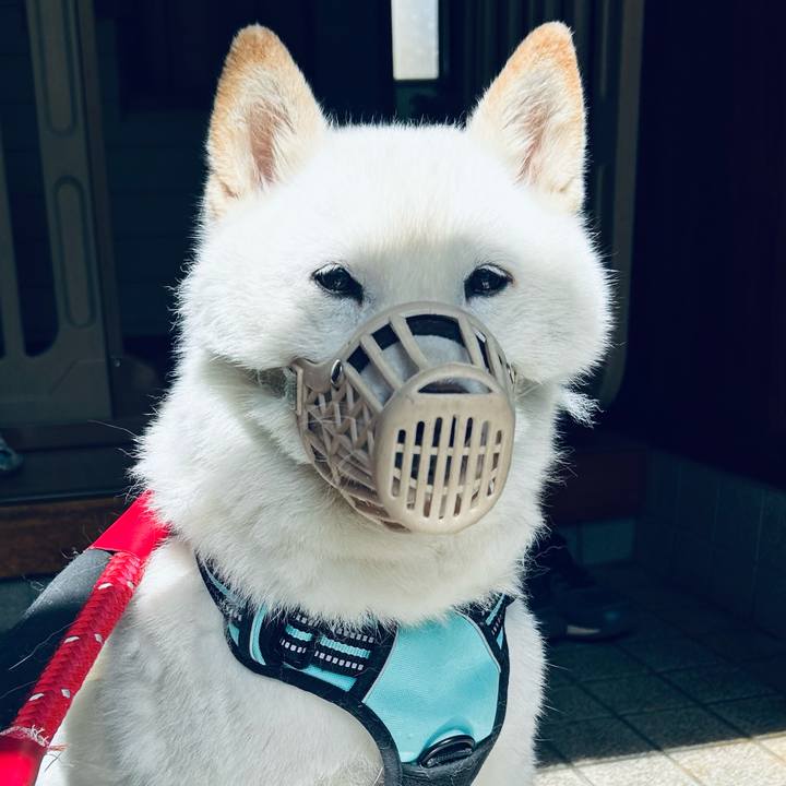 1fd852b3 bc13 4720 bdbd ba21e3c6cc5b 1685128625779