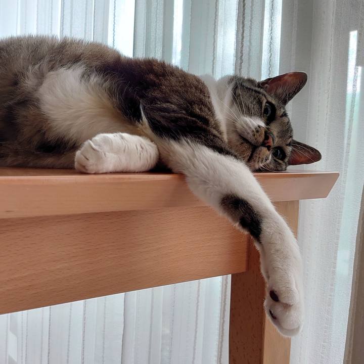 1fd857e1 f996 42ad b20c c7b74128fb5c 1684719257132