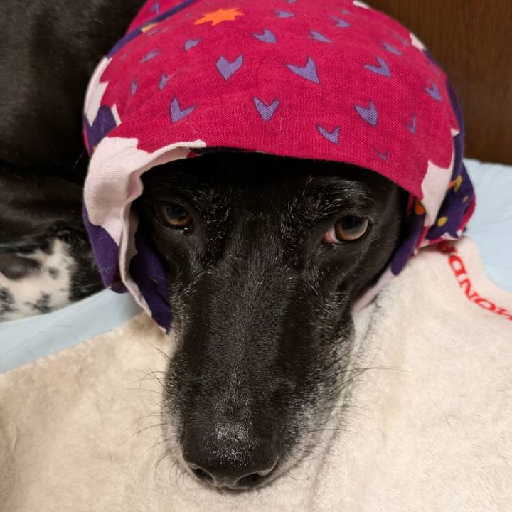 1fd883e8 b49a 4f07 82fe 61d19e30d2a2 1723026804402