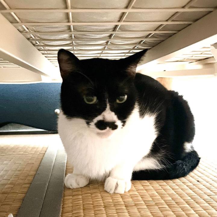 1fd88897 d426 458a b05f 970931e73146 1663891988457