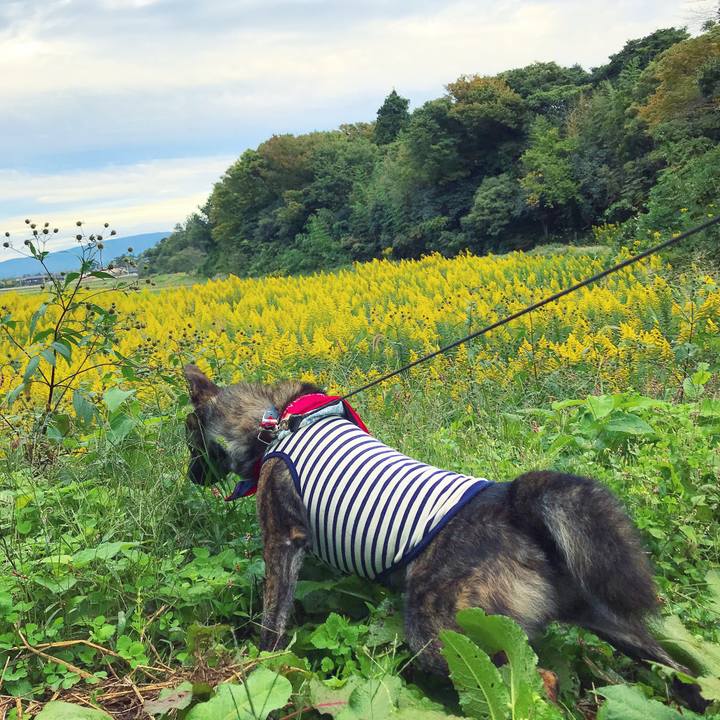 1fd8ee7f 298f 4fc6 a301 170b28cdfe62 1508112128795