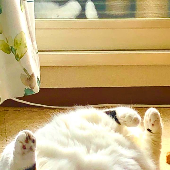 1fd93b38 82ce 44e9 b10a b6bf3249e997 1588427111914