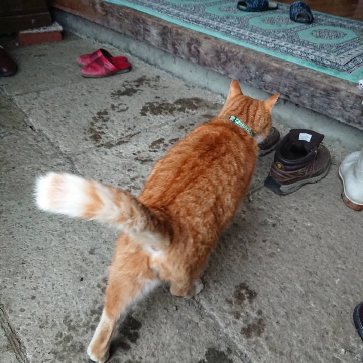 1fd98b46 7553 48e0 9aff 1e408d55b908 1581839510633