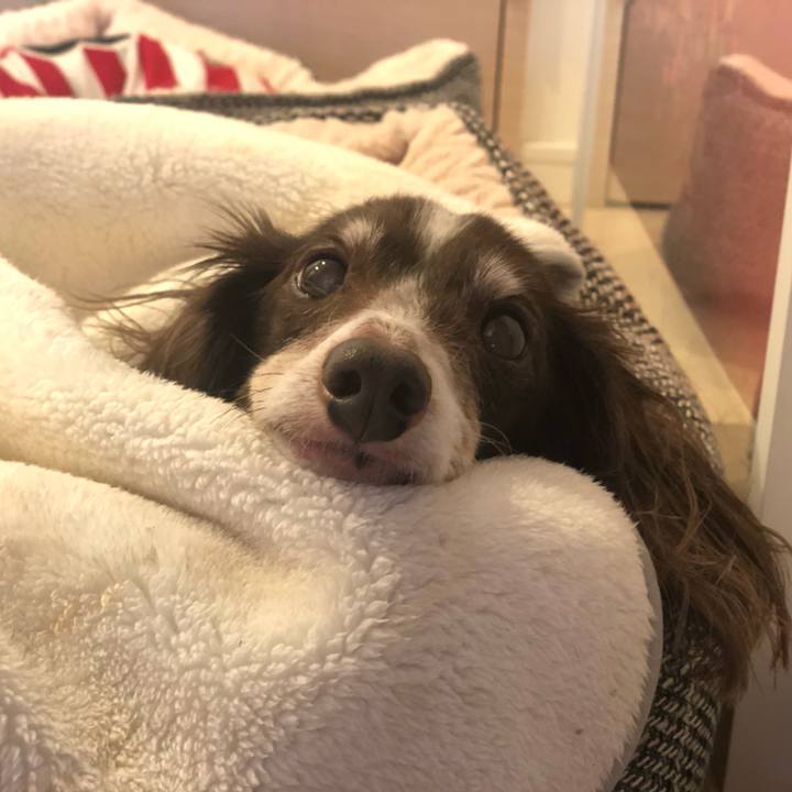 1fd98cc3 04ed 4c57 b366 5d1c863094aa 1612322432295