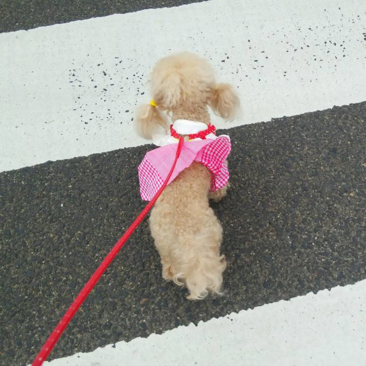 1fd98e54 e442 43d3 ac0d ceb6c743fbb0 1560344776242