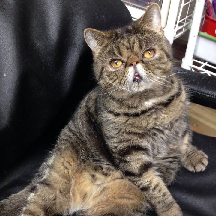 1fd9a845 7a40 45ae 80ec d051ae73f176 1521683320150