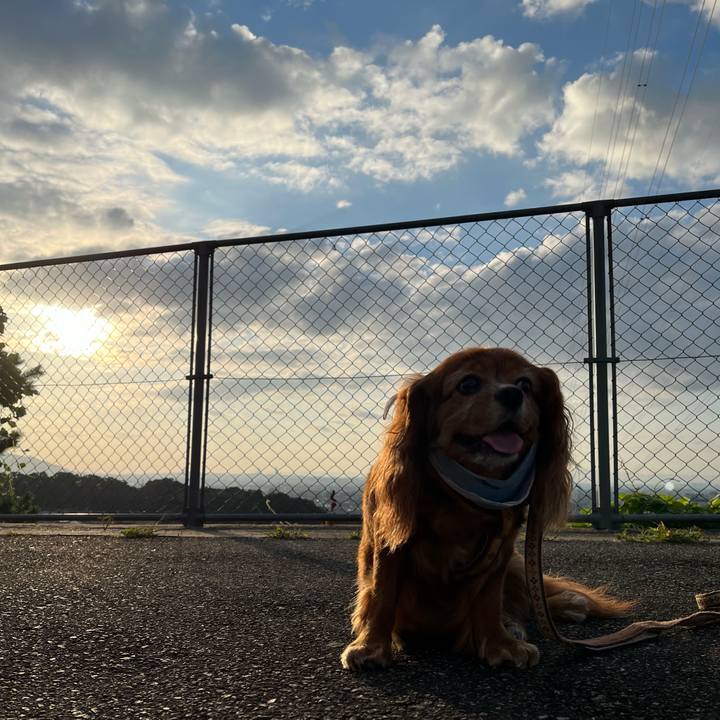 1fd9cf6b 821e 4638 995e 18ae5797b862 1723416381841