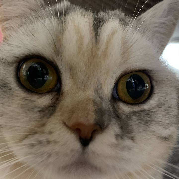 1fd9fb69 fc3c 4bec 9ad7 360226d536f5 1707221177239