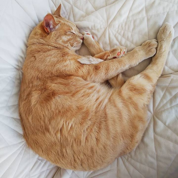 1fd9feb4 9b0f 474f b1c9 15431a2ff916 1650078387123