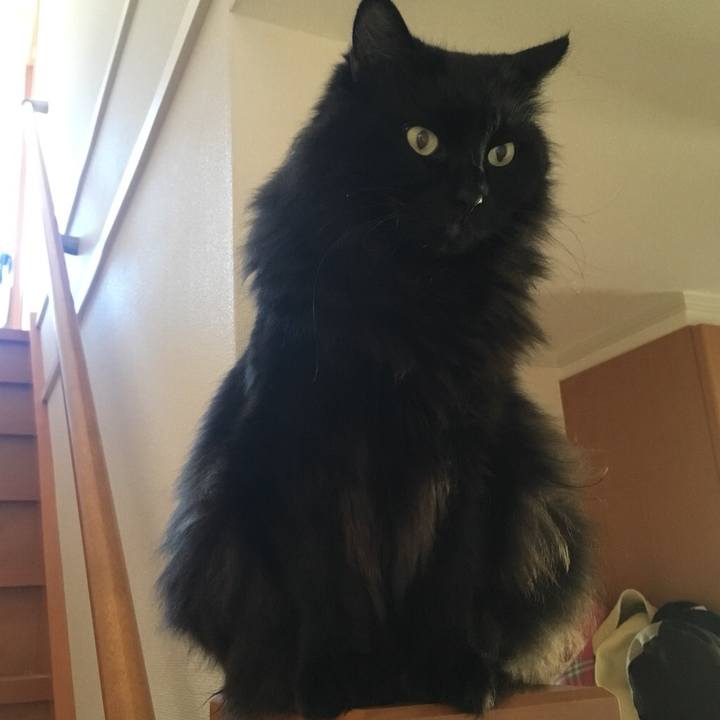 1fdacaa9 5d82 4bfe 99f1 cba2be463826 1543975237744