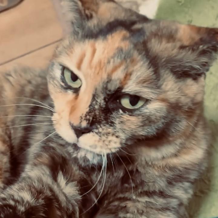 1fdae7f0 8fc5 45aa a0f4 d7c9d45b3ac7 1770410776329