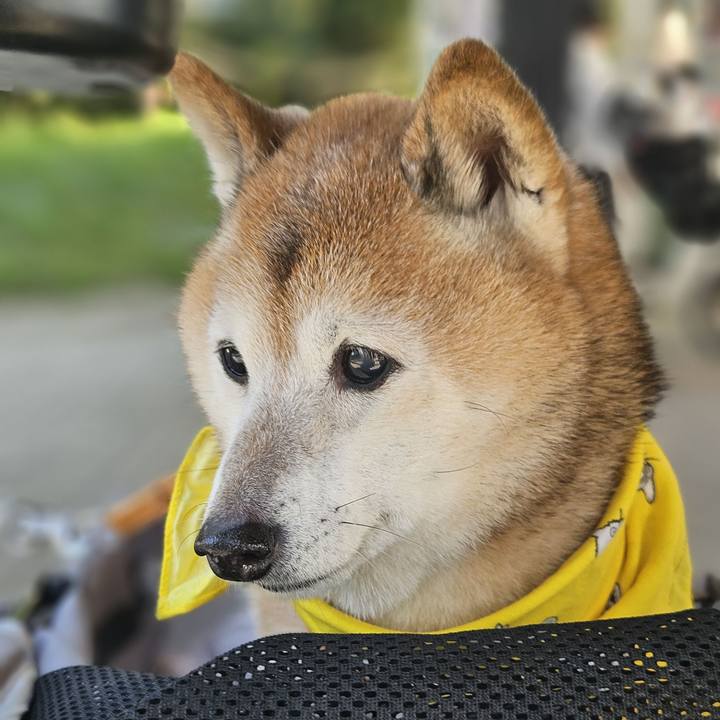 1fdaf97e 1d41 422d ad05 4fb673bc2b9a 1764056896779