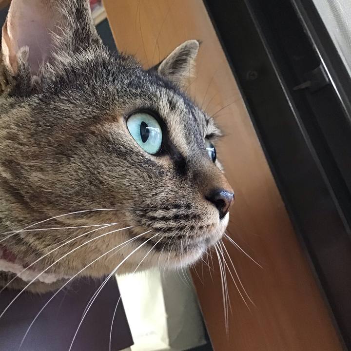 1fdb060d a94d 4c06 8d16 f2ddb68edd47 1717670221850