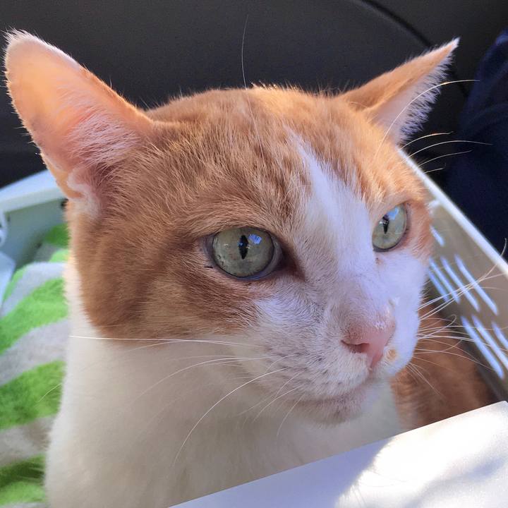 1fdb1b25 8843 417f 9fd6 4400a4c1ba09 1572241675340