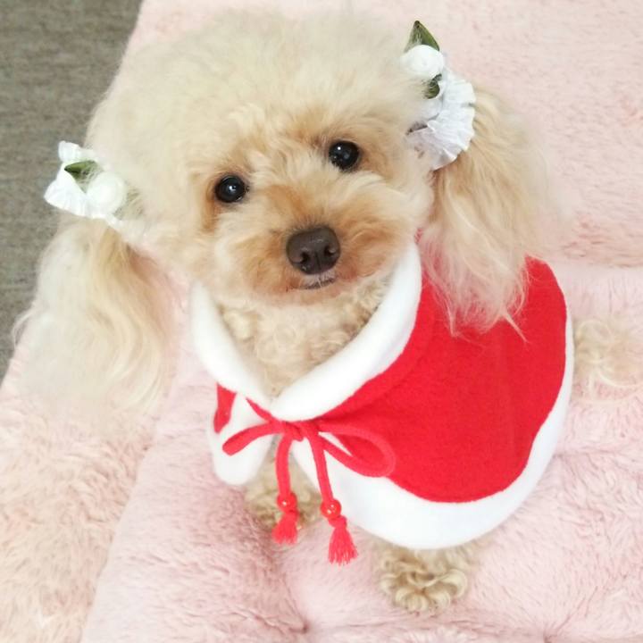 1fdb1e9d cd57 4daa 9ea4 1f5eed9ac120 1540901129486