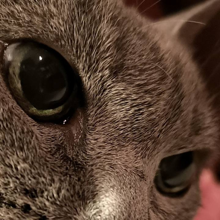 1fdb7a07 4962 453d a760 33ec974e6d39 1635770880348