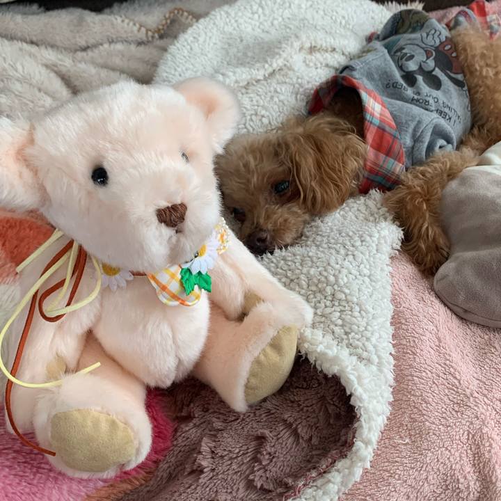 1fdba9f1 a9d0 4aae 888b c84e76bec4ef 1762225801575