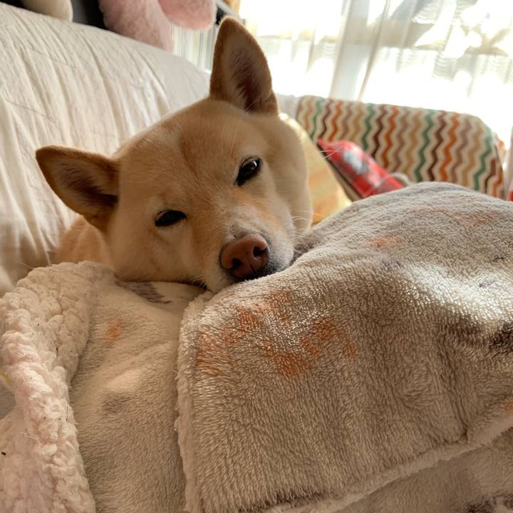 1fdbb93e 5d49 4f7f a948 508d32126fcd 1614819938723