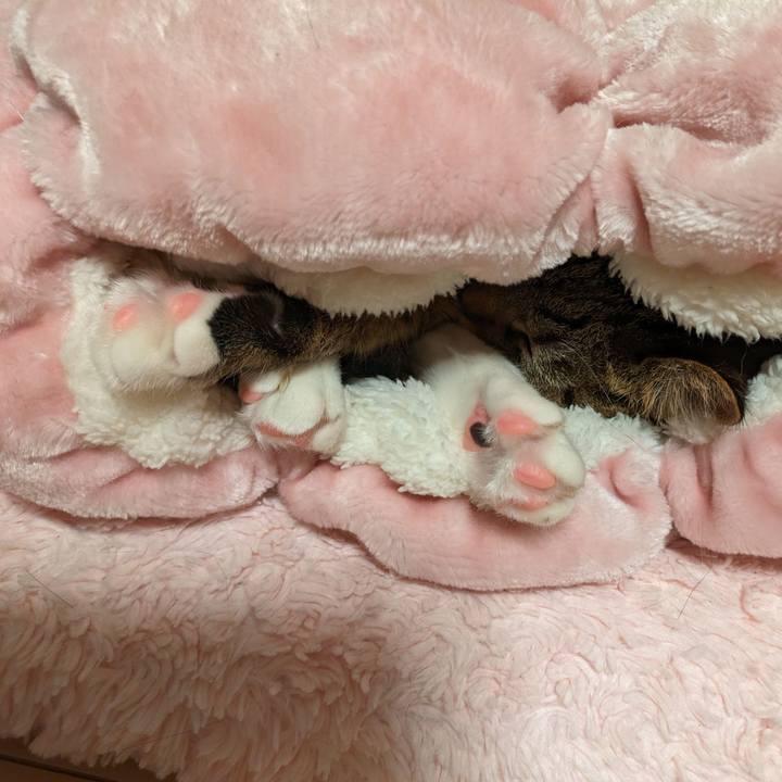 1fdbbb88 a248 42d5 b16c 3d16f9ff5fa6 1702299836484