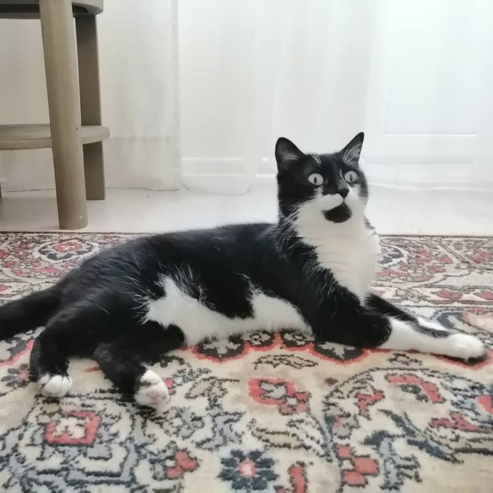 1fdbc5b2 e74c 4a6a ac1e 9f5b82875fe6 1591432026548