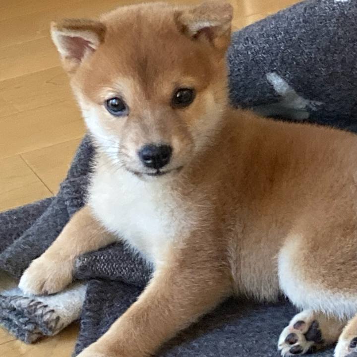 1fdc26cd 56f2 460a 9e41 321e0f6342eb 1729853873273