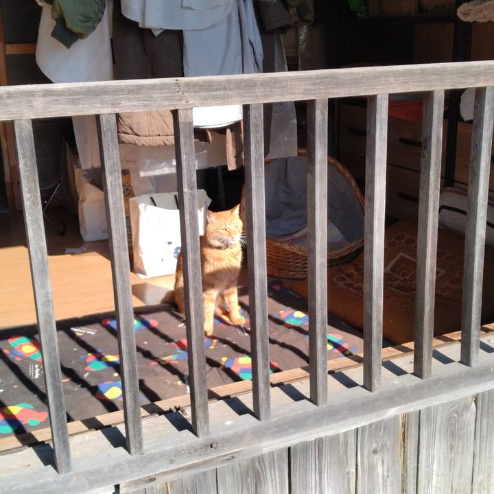 1fdc4119 62b6 4ea0 b26b 3cde10f6d65f 1667439530495