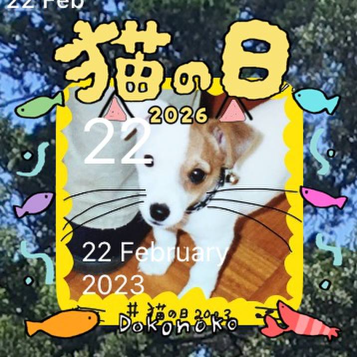 1fdc69a6 22cd 4010 bcff 18b3b6c16c5e 1771759816402