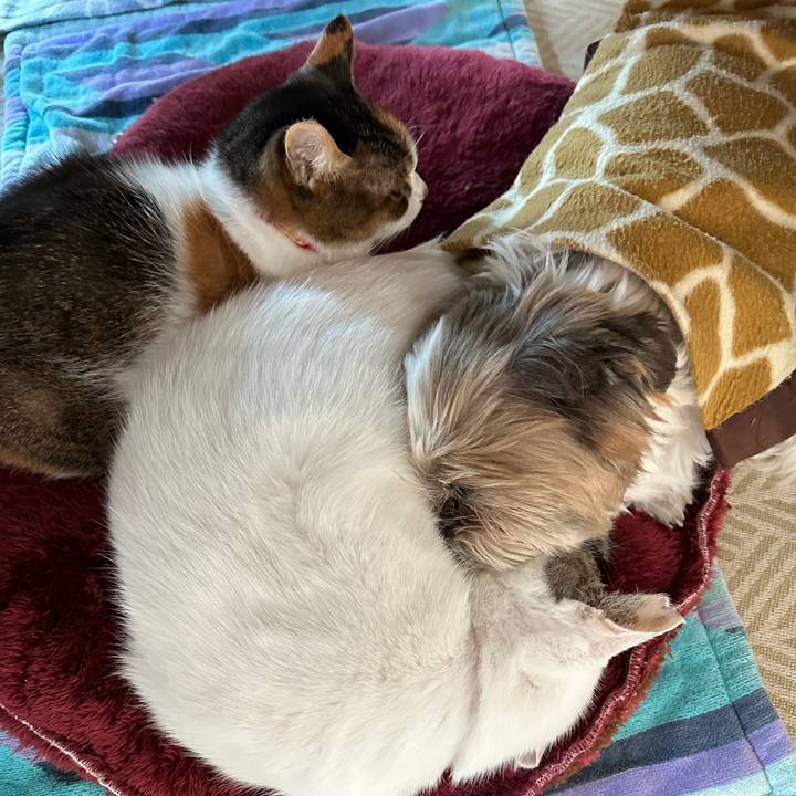 1fdc8cfb 5cd6 48d4 bf3c d2c93633ebf4 1701472277035