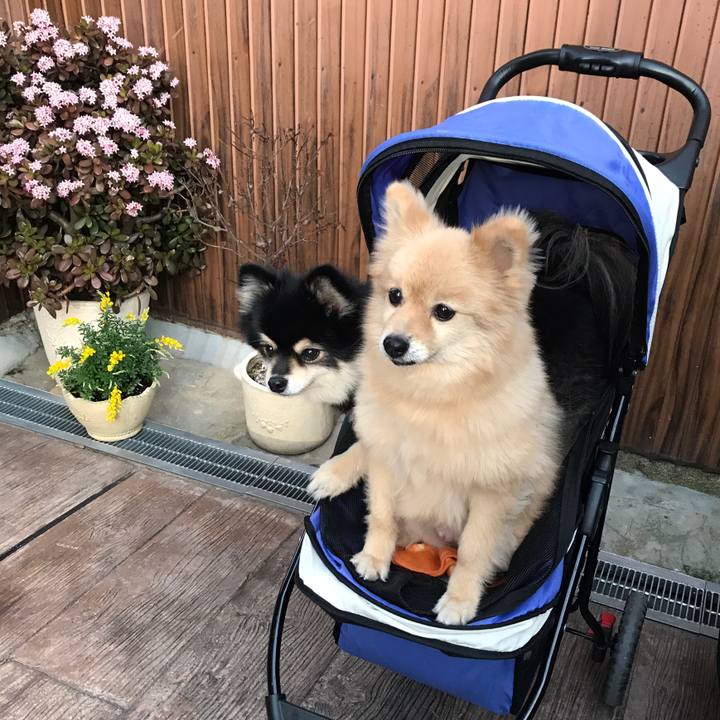 1fdcb6ee 9ad9 448f 8dbc 5a9b8d140977 1585402852213