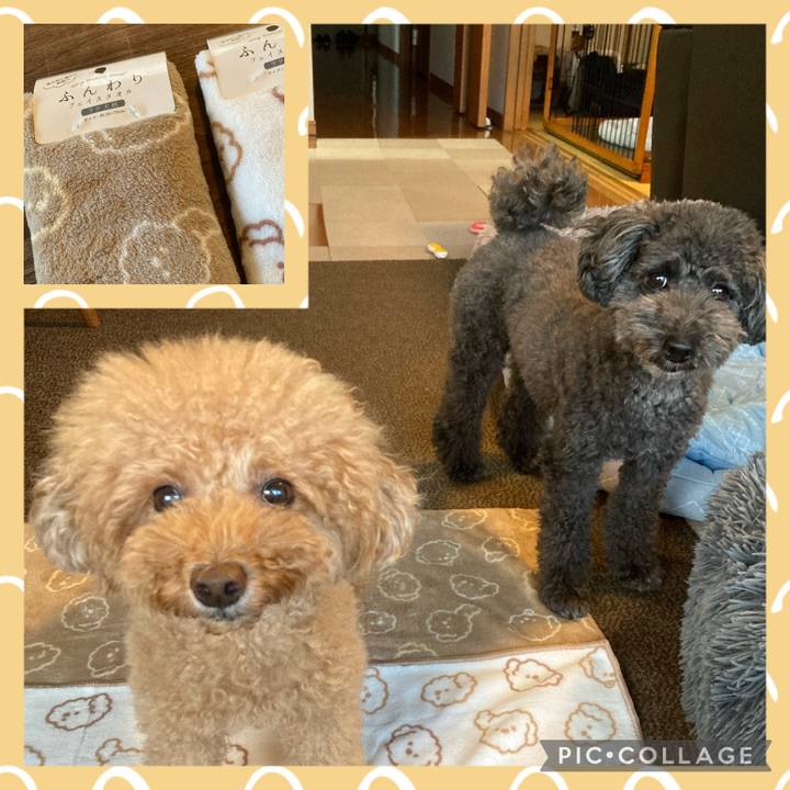 1fdcc3be 9240 459a 9c2f ec5913c77bf5 1697026395115