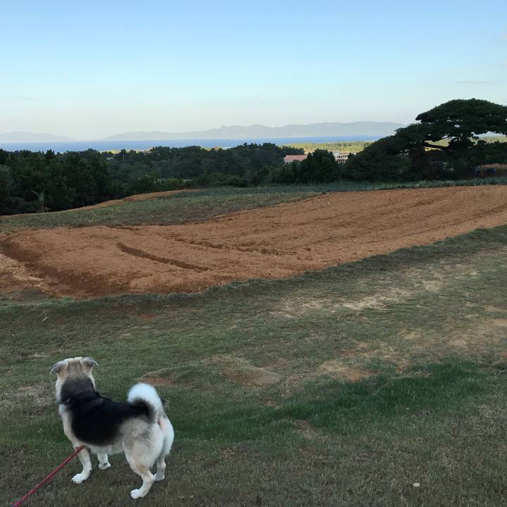 1fdd2783 8aec 4c1b 8f21 a861886a1ebb 1510313259759