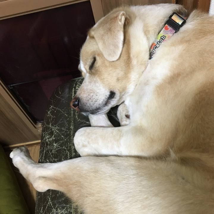 1fdd3184 2051 42c6 b51c 0dce955bf496 1539091377038