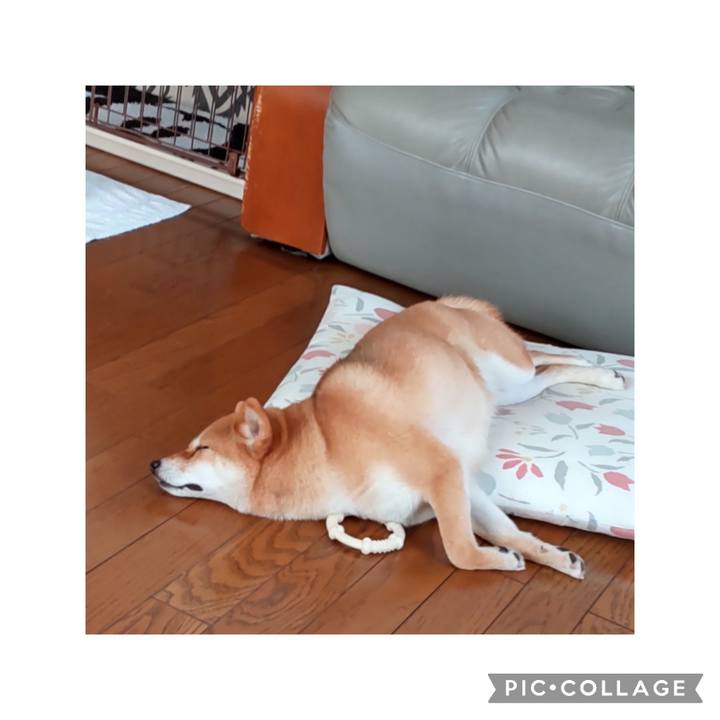 1fdd48be 14d1 4b77 858f ec3172aca359 1682916257616