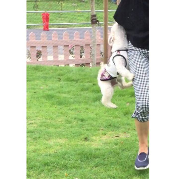 1fdd525b 131e 47e1 be44 0d07ecd4b102 1518525625940