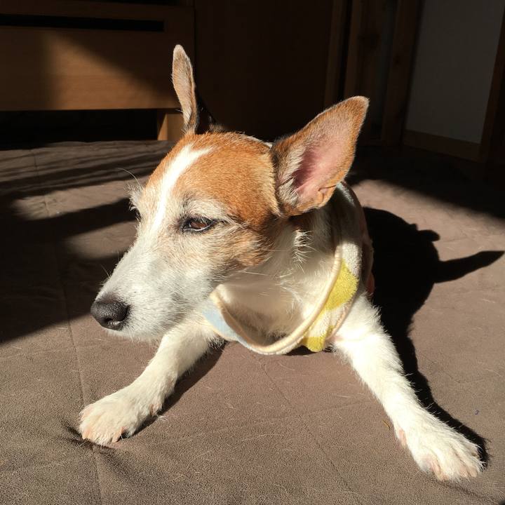 1fdd7a1c b377 4172 b56f 2d42b367d992 1639873274143