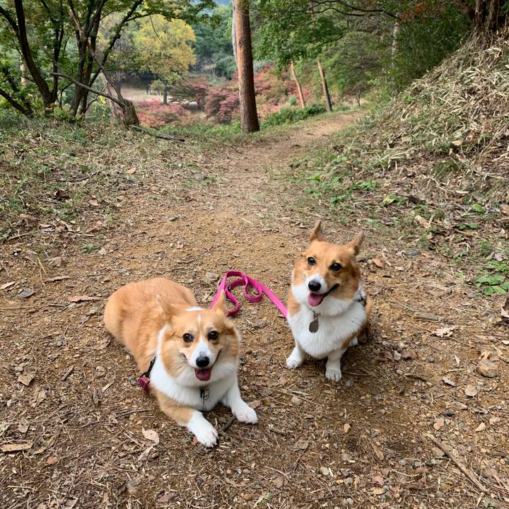 1fddc72a 180a 4ac1 ba6f 49226d9fd7ff 1573107199775