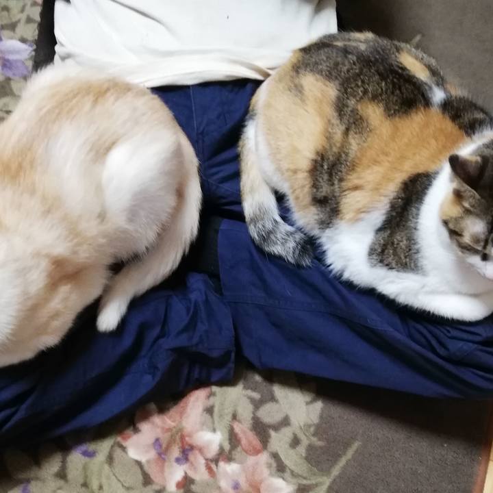 1fdde615 8811 457a a93e 02218c55350f 1701211973115