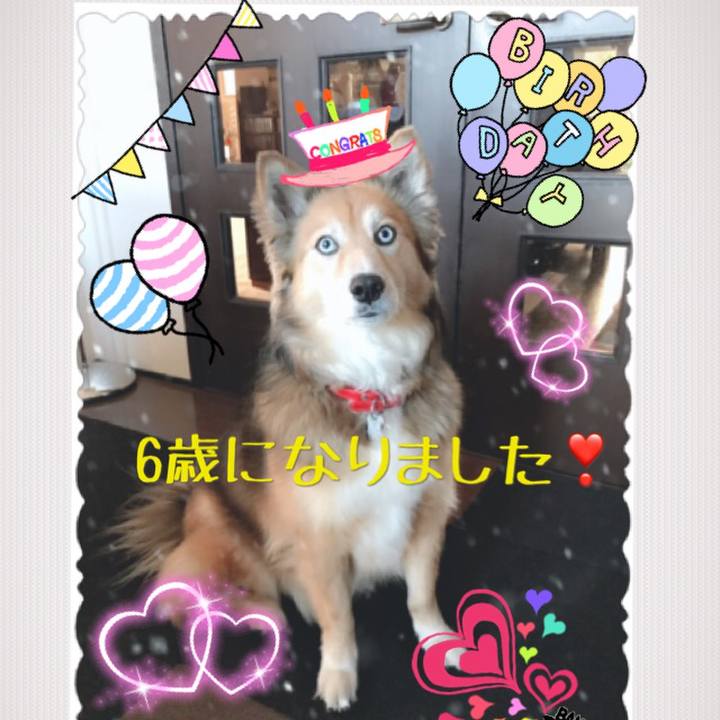 1fddf76f 28d9 4e9d b4bf a4efce82d7c5 1547777977502