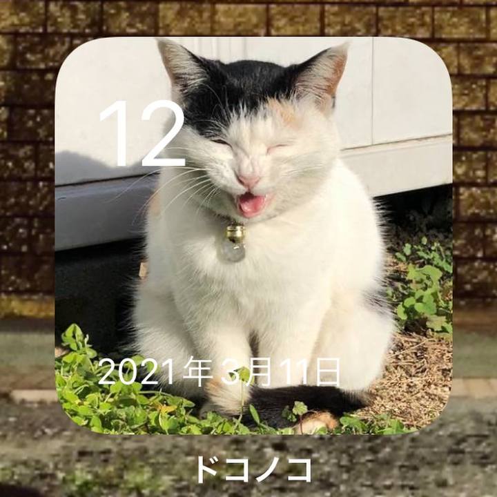 1fde0b9f eb92 44bb 8620 c3d3442260c6 1647037776649