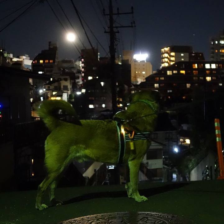 1fde3141 3458 4ef1 90b0 43b3fe54fcdd 1514976052301