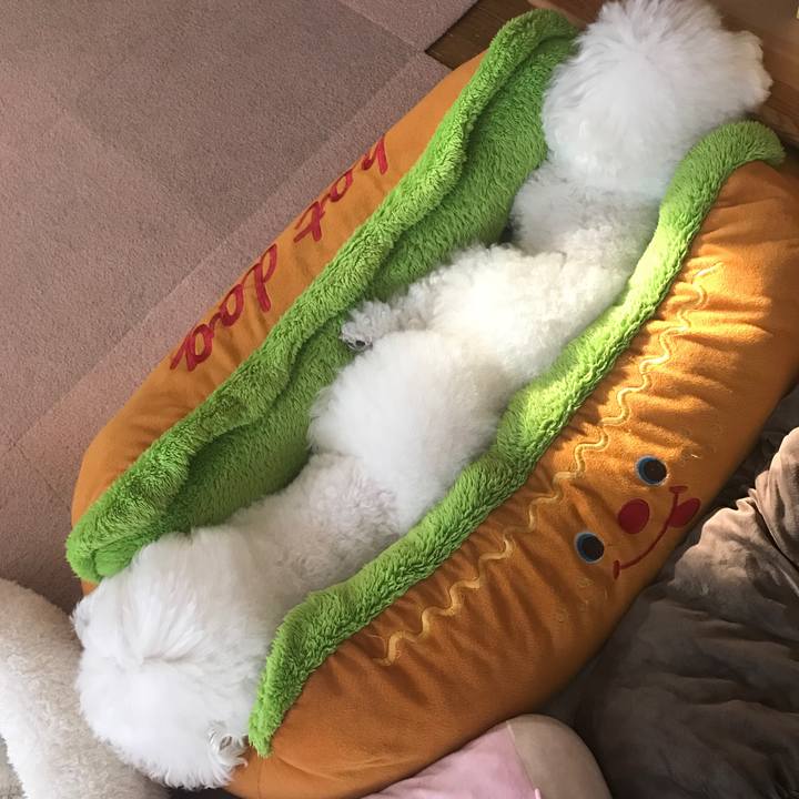 1fde5005 2c64 4352 9db9 315c68501baa 1603260621507