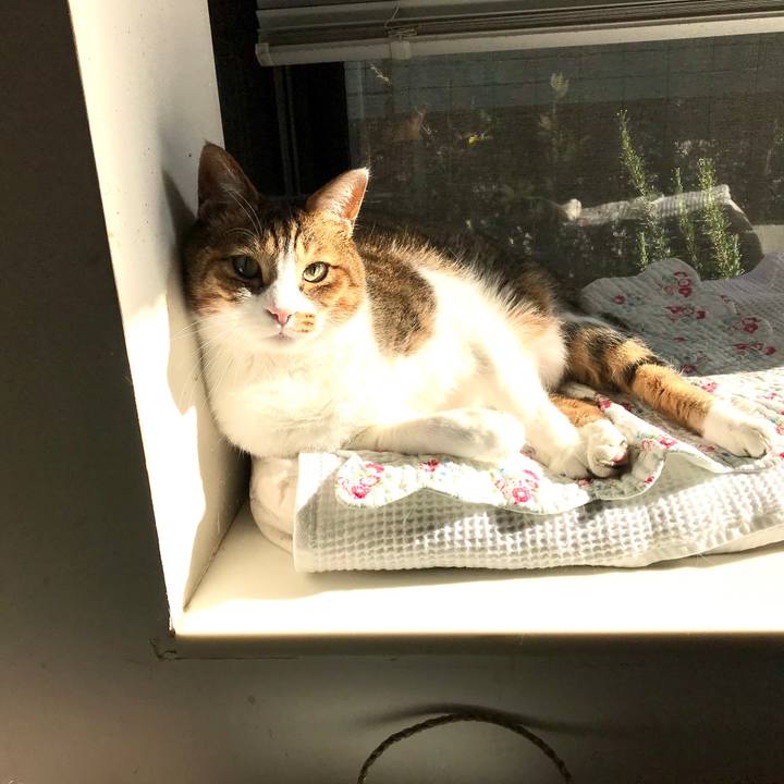 1fde5d27 3e03 4f67 8db9 a4397dc11d6a 1584509881942