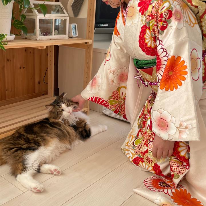 1fde82c8 8542 4062 b7af 99d1ae018c0f 1673150543967