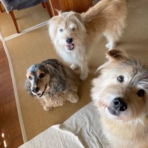 1fde83f0 8d6e 4a1c 9a1b 91361ee91419 1635950343040