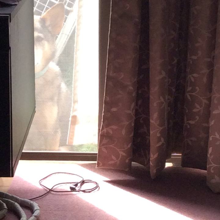 1fde9db6 2f14 47cb a274 7c5ca82518c1 1513134888649