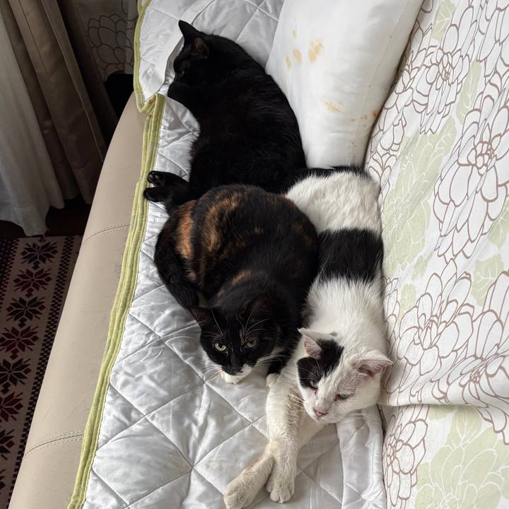 1fdeb217 9f91 4895 a4c3 8a8273d8269d 1756933731330