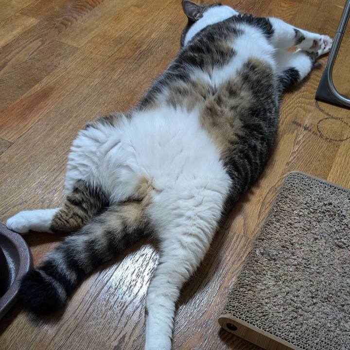 1fdebaf0 2935 4671 b3bd 558ef3cf887e 1719655862092