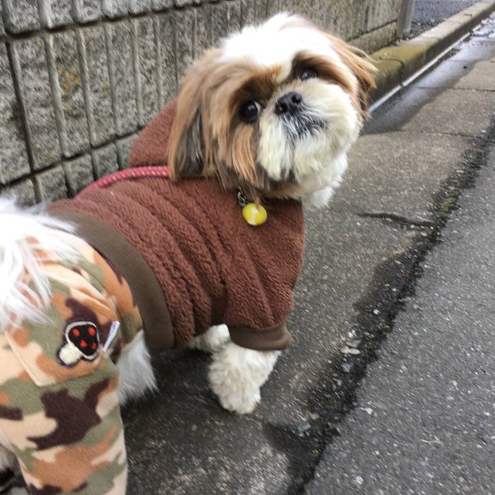 1fdee909 f4db 4c87 a8b7 bc3fd2a80591 1517640482090