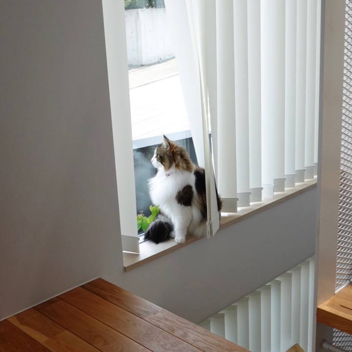 1fdef42b 9622 4948 a0d5 a5f4a4b5dd42 1588037302725